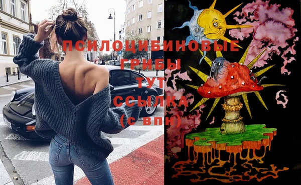 каннабис Арсеньев